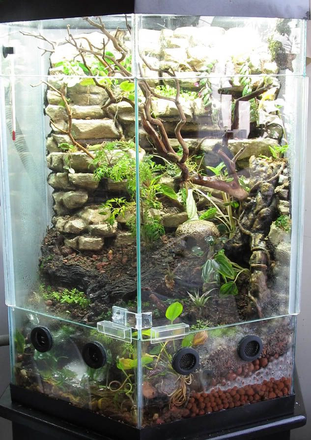 Best ideas about DIY Reptile Terrarium
. Save or Pin 34 best DIY for the Reptile Hobbyist images on Pinterest Now.