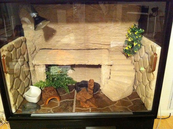 Best ideas about DIY Reptile Terrarium
. Save or Pin Pin by Bearded Dragon Info on Bearded Dragon Cage Now.