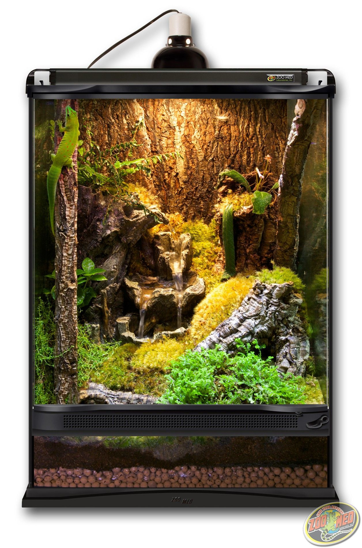 Best ideas about DIY Reptile Terrarium
. Save or Pin 12x12x18 Zoo Med Terrarium built as a Giant Day Gecko Now.