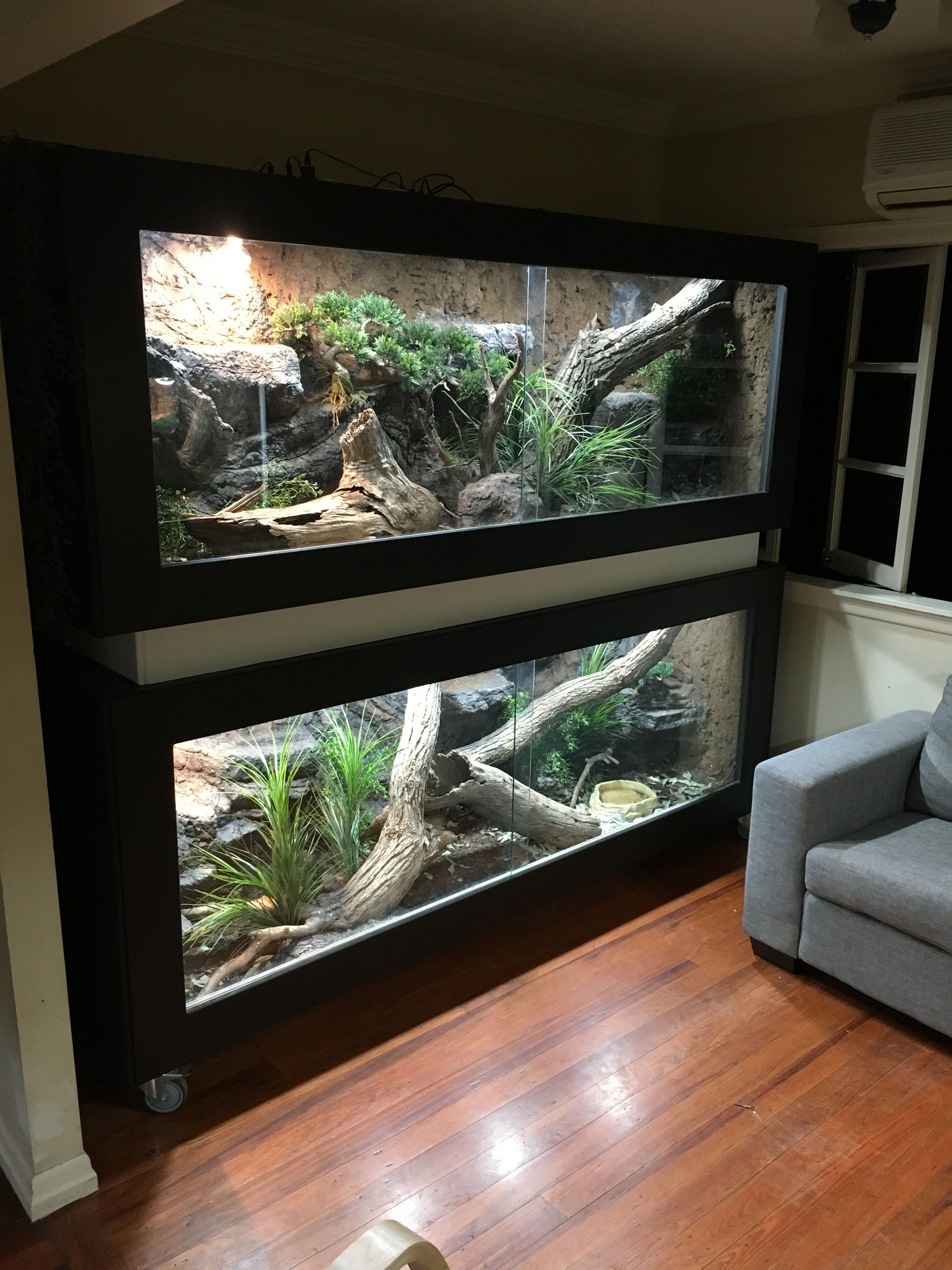 Best ideas about DIY Reptile Terrarium
. Save or Pin Pin by Adam Sunkle on Reptile & Enclosures Now.