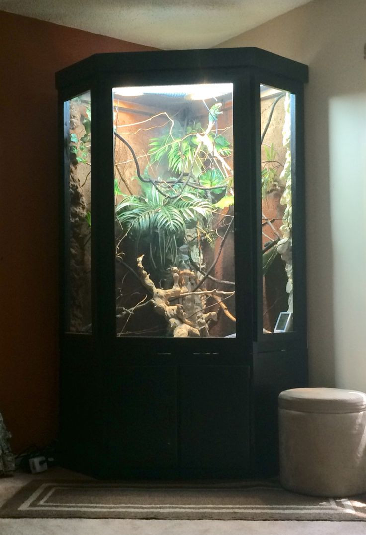 Best ideas about DIY Reptile Terrarium
. Save or Pin 17 Best images about DIY Reptile cages enclosures on Now.