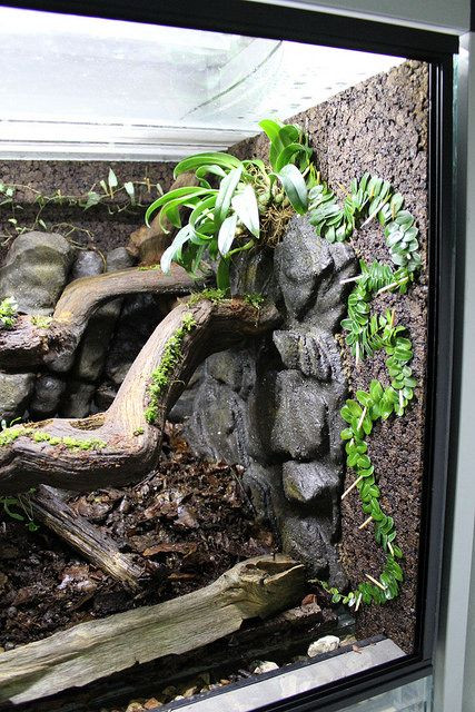 Best ideas about DIY Reptile Terrarium
. Save or Pin 33 best images about DIY for the Reptile Hobbyist on Pinterest Now.