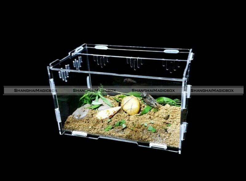 Best ideas about DIY Reptile Terrarium
. Save or Pin Acrylic DIY Terrestrial Reptile Terrarium Geico Snake Frog Now.