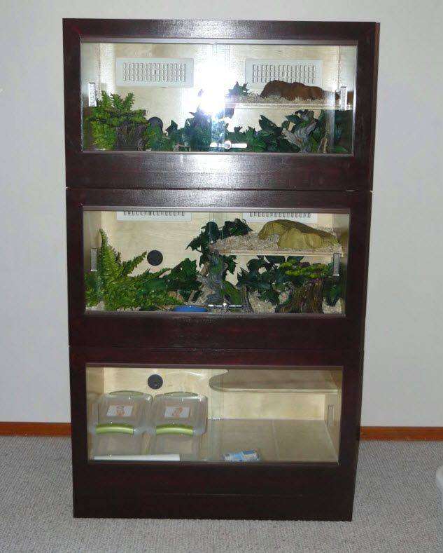 Best ideas about DIY Reptile Terrarium
. Save or Pin 17 Best ideas about Reptile Cage on Pinterest Now.