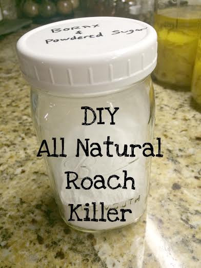 Best ideas about DIY Roach Killer
. Save or Pin DIY All Natural Roach Killer All Natural & Good Now.