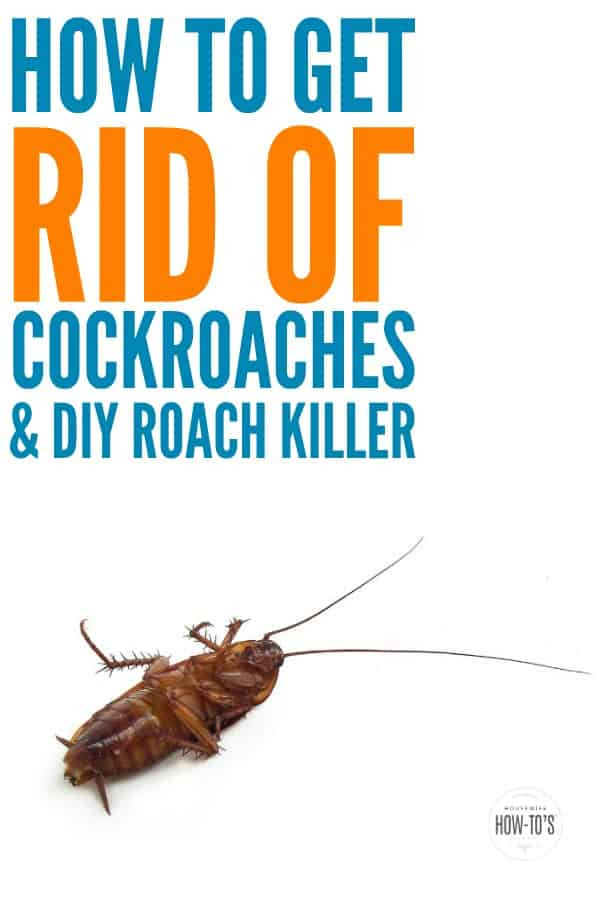 Best ideas about DIY Roach Killer
. Save or Pin How To Get Rid Cockroaches and an Easy DIY Roach Killer Now.