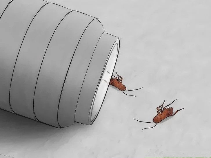 Best ideas about DIY Roach Trap
. Save or Pin 3 DIY Homemade 4 mercial Roach Traps That Actually Now.