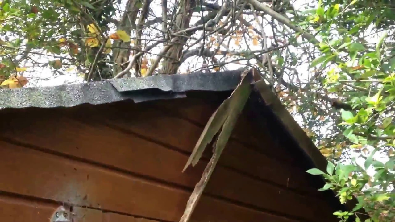 Best ideas about DIY Roof Repair
. Save or Pin SHED Roof Handyman DIY TIPS Repair part 1 Now.