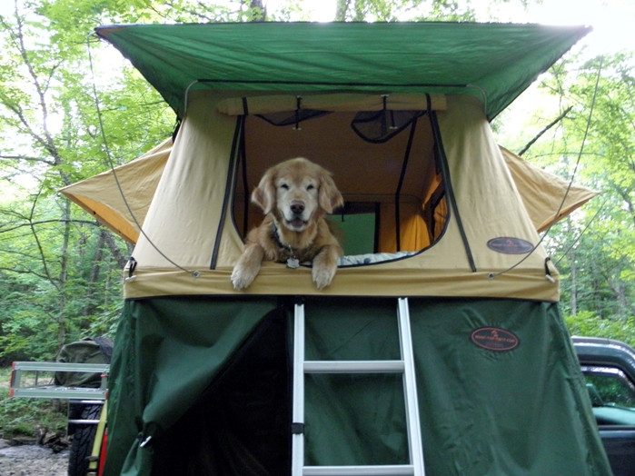 Best ideas about DIY Roof Top Tent
. Save or Pin tent diy tent on a trailer – Page 5 – pact Camping Concepts Now.