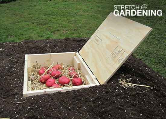 Best ideas about DIY Root Cellar
. Save or Pin 17 DIY Root Cellars For The Homestead Now.