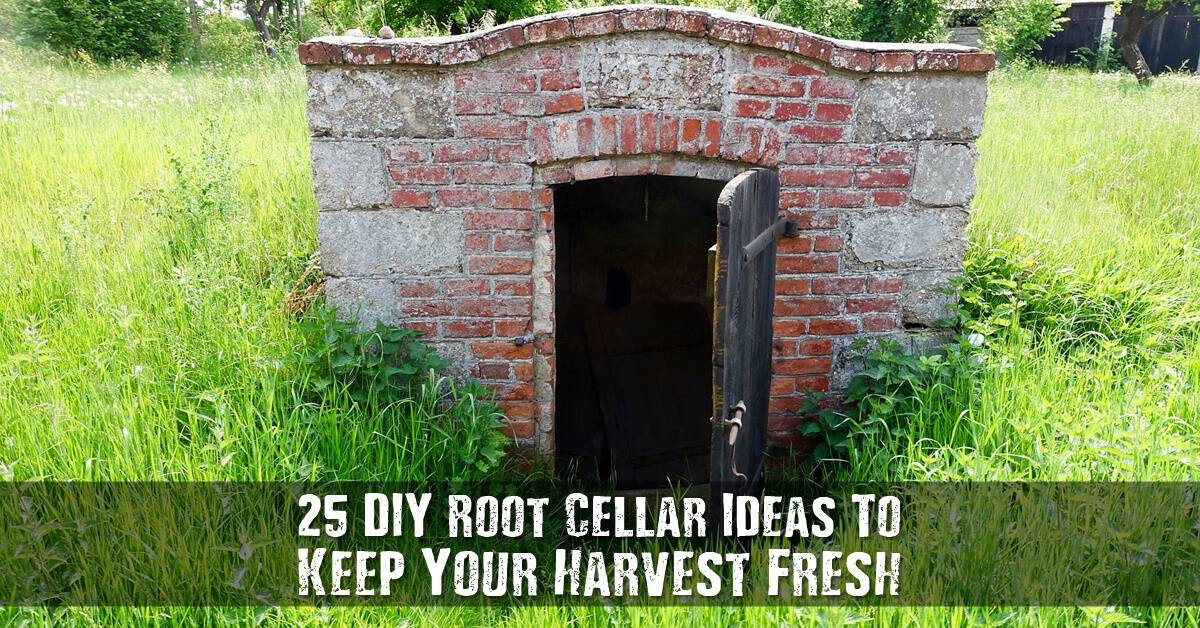 Best ideas about DIY Root Cellar
. Save or Pin 25 DIY Root Cellar Ideas to Keep Your Harvest Fresh SHTF Now.