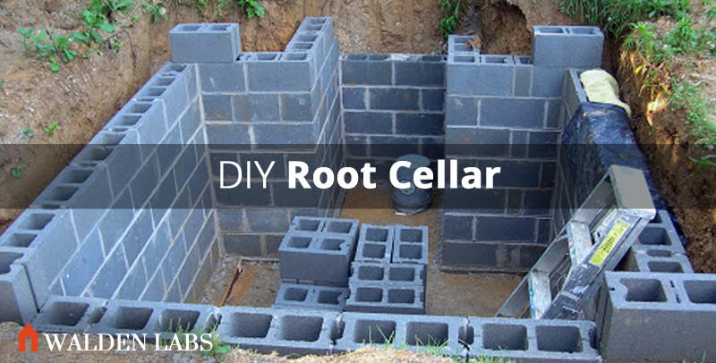 Best ideas about DIY Root Cellar
. Save or Pin How to Build a Root Cellar in 7 Steps Walden Labs Now.