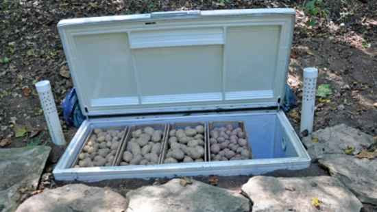 Best ideas about DIY Root Cellar
. Save or Pin 17 DIY Root Cellars For The Homestead Now.