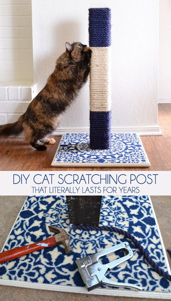 Best ideas about DIY Scratching Post
. Save or Pin DIY Cat Scratching Post That Literally Lasts for Years Now.