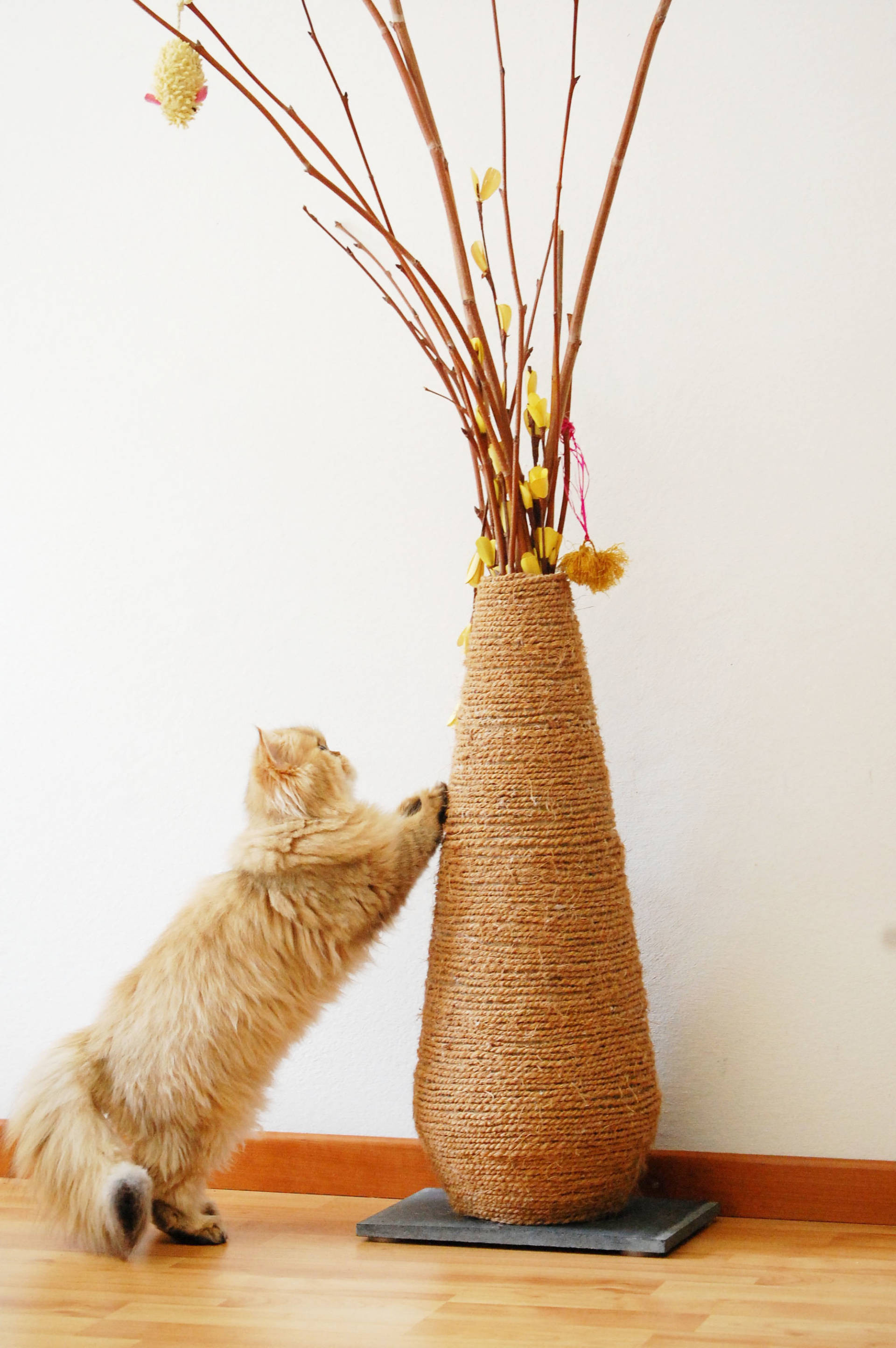 Best ideas about DIY Scratching Post
. Save or Pin DIY Vase Scratching Post Update Now.