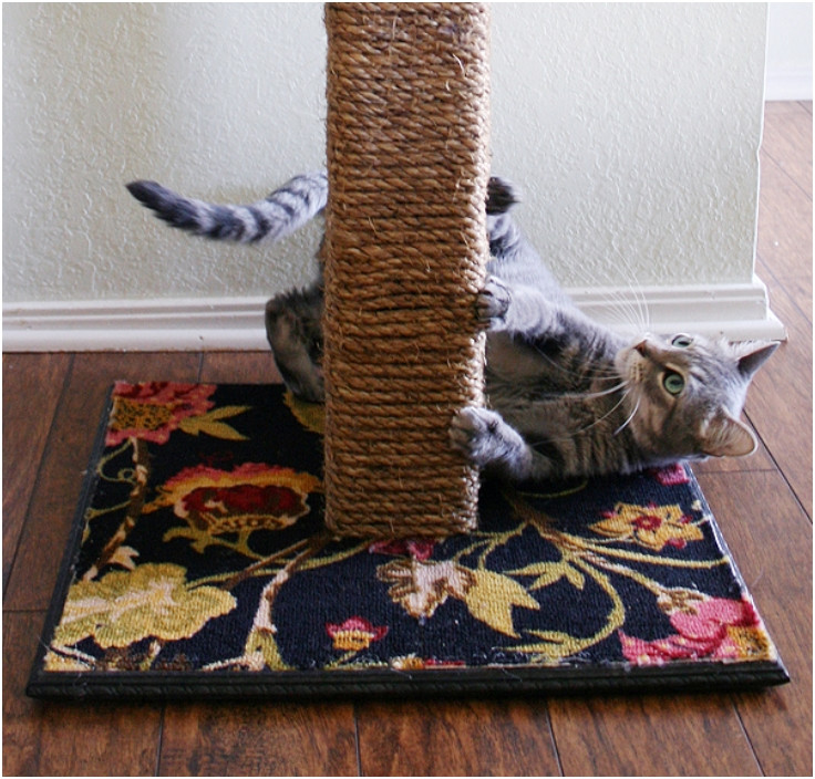 Best ideas about DIY Scratching Post
. Save or Pin Top 10 DIY Cat Scratching Posts and Pads Top Inspired Now.