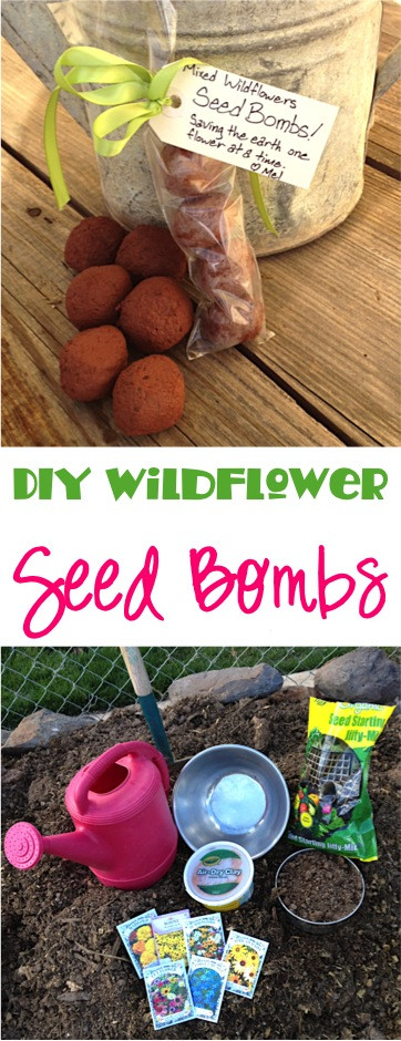 Best ideas about DIY Seed Bombs
. Save or Pin DIY Seed Bombs Wildflower Gardening Gift Idea  The Now.