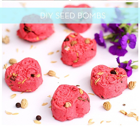 Best ideas about DIY Seed Bombs
. Save or Pin Make It Do It Yourself Seed Bombs Curbly Now.