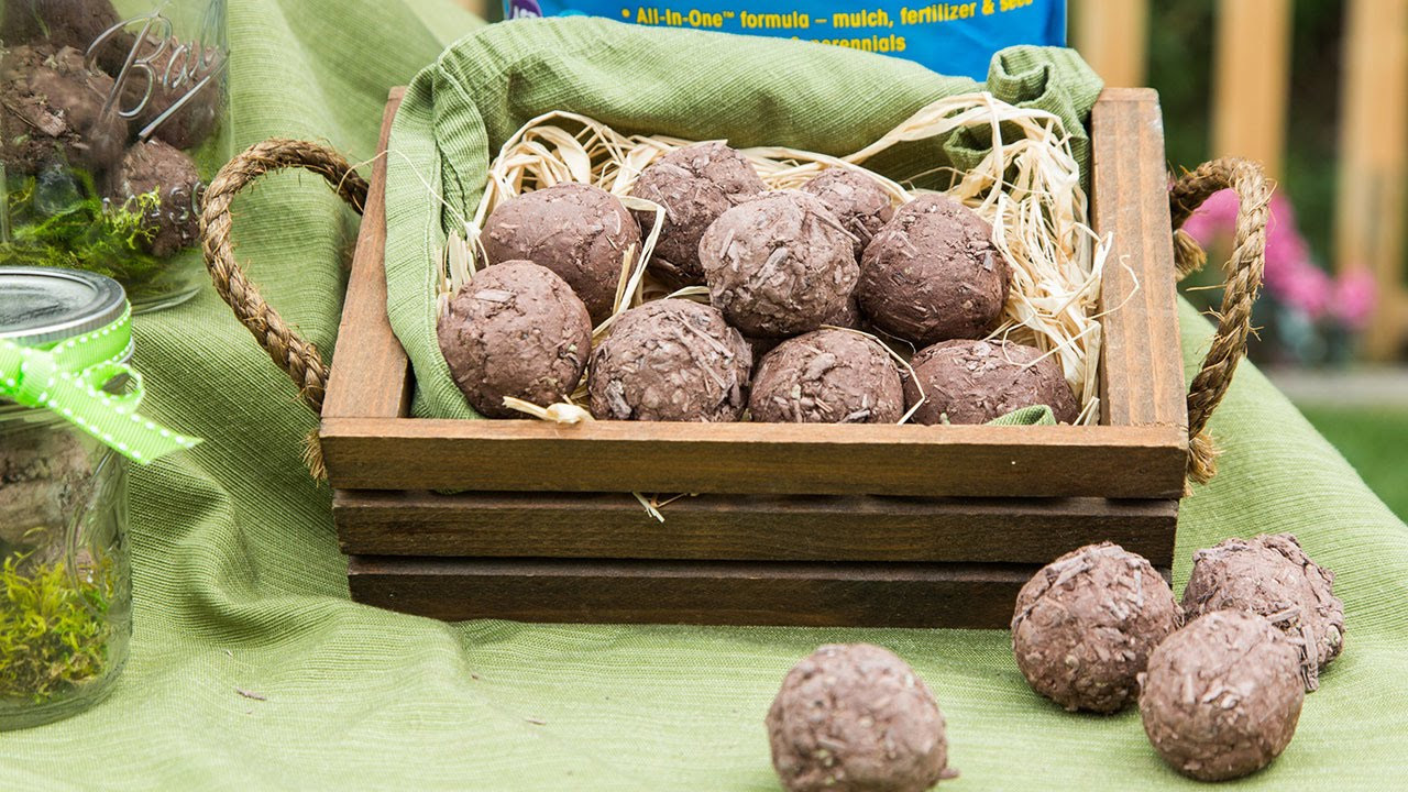 Best ideas about DIY Seed Bombs
. Save or Pin Making DIY Seed Bombs Now.