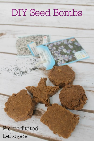 Best ideas about DIY Seed Bombs
. Save or Pin How to Make DIY Seed Bombs Recipe and Tutorial Now.