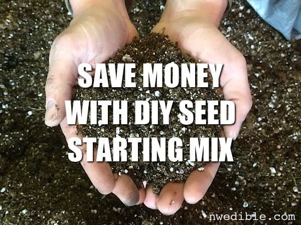 Best ideas about DIY Seed Starting Mix
. Save or Pin Save Money With DIY Seed Starting Mix Now.