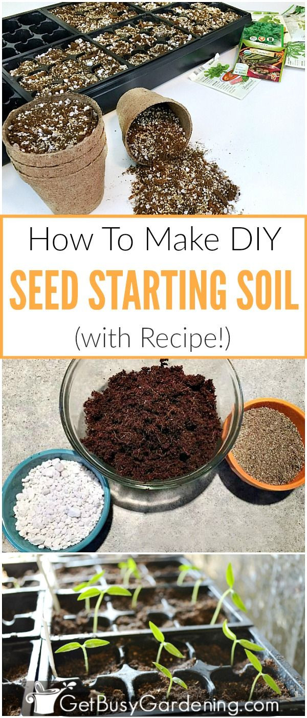 Best ideas about DIY Seed Starting Mix
. Save or Pin Best 25 Seed starting ideas on Pinterest Now.