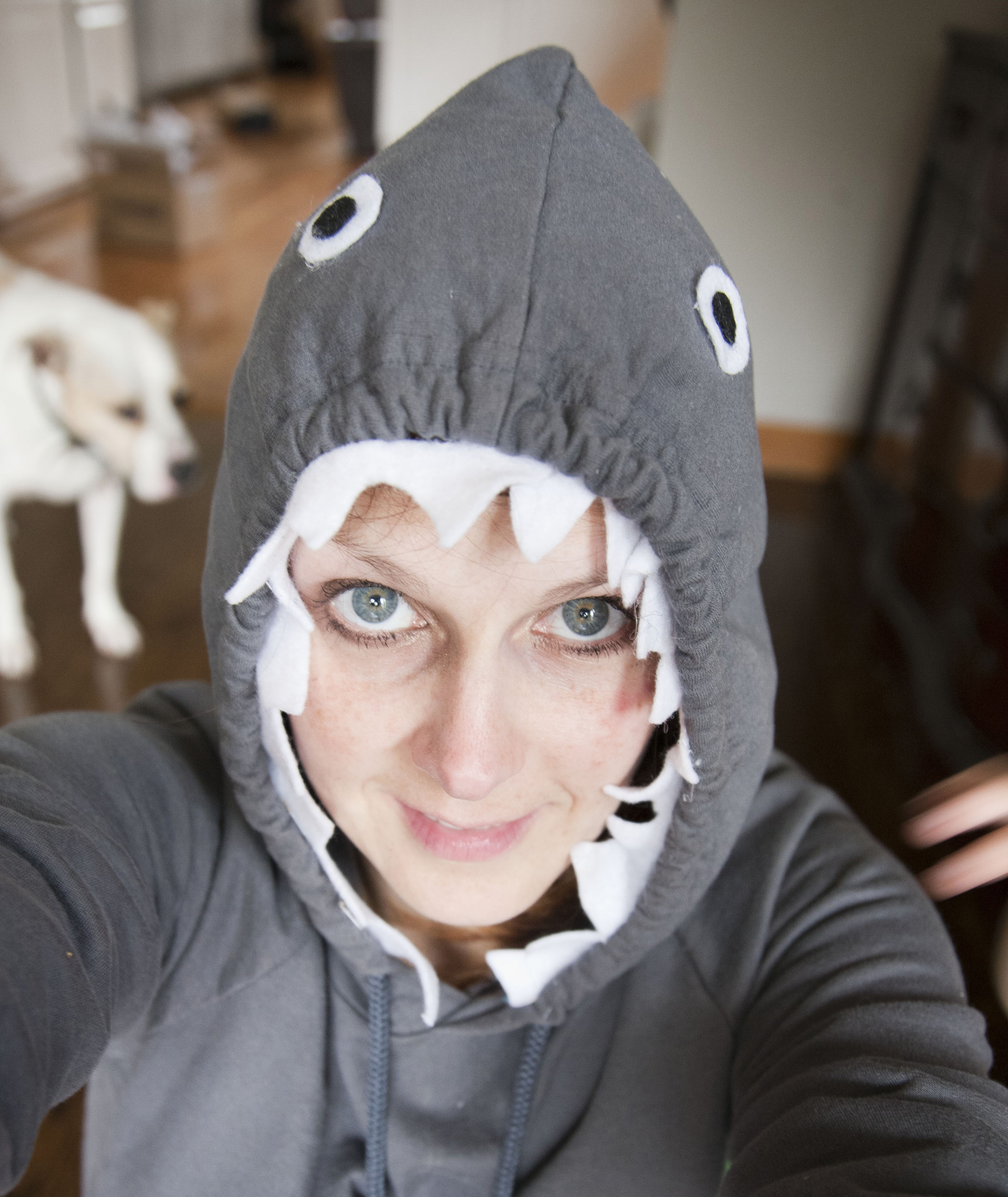 Best ideas about DIY Shark Costumes
. Save or Pin 281 shark costume Now.