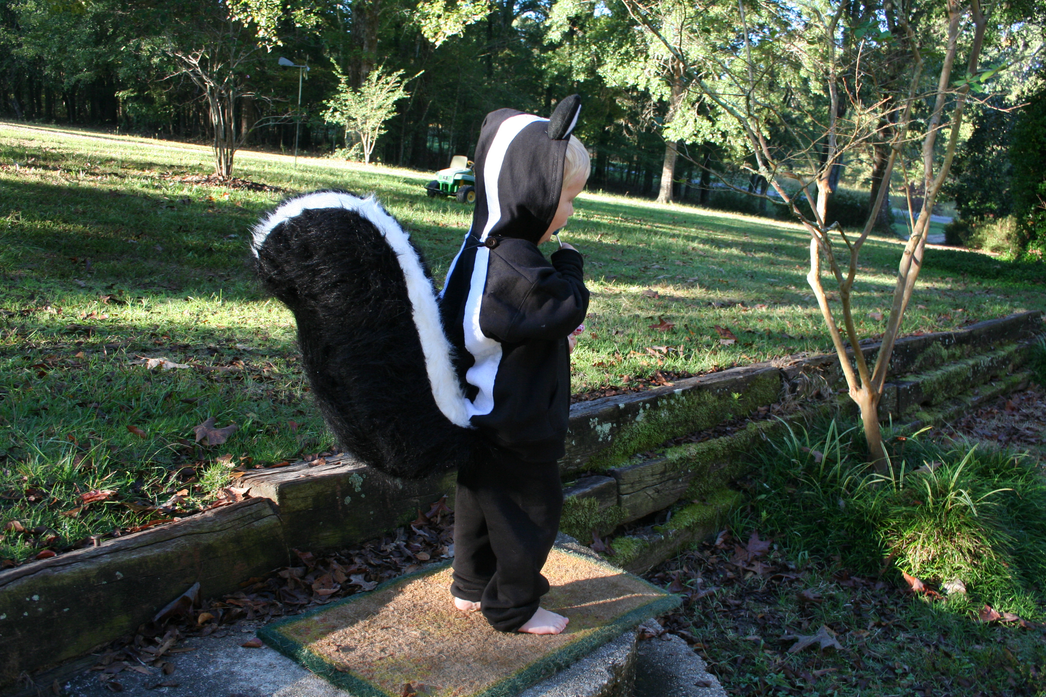 Best ideas about DIY Skunk Costume
. Save or Pin Homemade Skunk Fox Cat Costume Now.