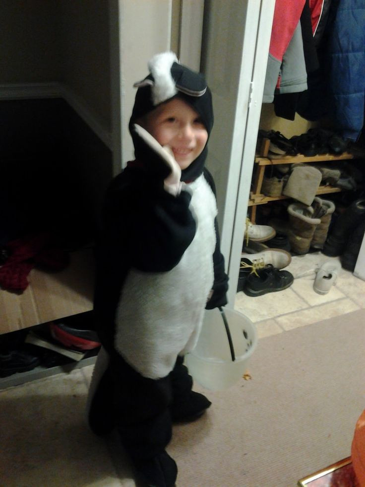 Best ideas about DIY Skunk Costume
. Save or Pin 12 best images about Halloween Costumes on Pinterest Now.