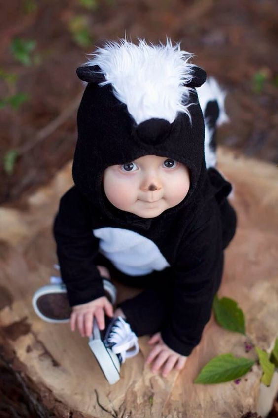 Best ideas about DIY Skunk Costume
. Save or Pin Picture baby skunk costume for the smallest kid Now.