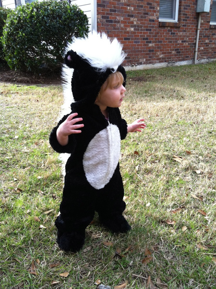 Best ideas about DIY Skunk Costume
. Save or Pin 247 Best images about Halloween on Pinterest Now.