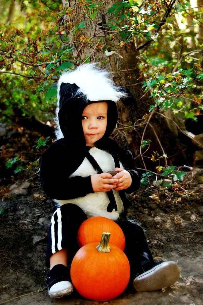 Best ideas about DIY Skunk Costume
. Save or Pin Best 25 Skunk costume ideas on Pinterest Now.