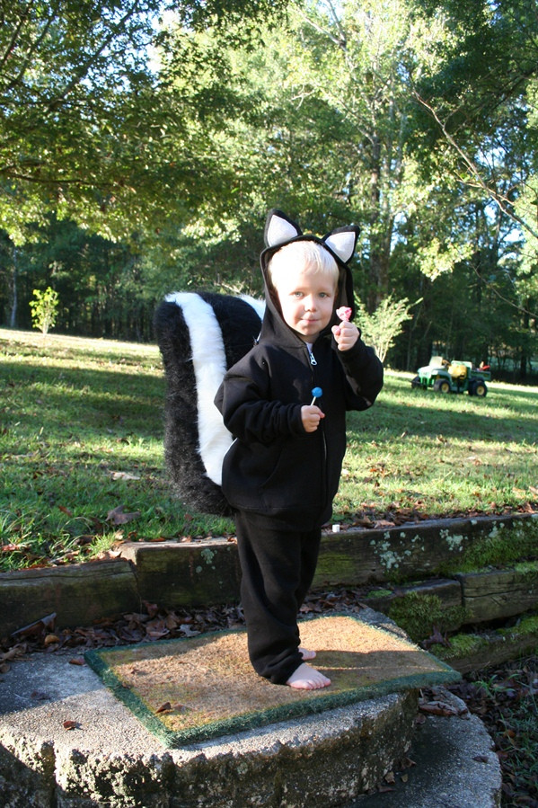 Best ideas about DIY Skunk Costume
. Save or Pin Homemade Skunk Fox Cat Costume Now.