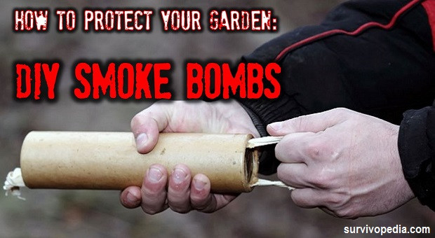 Best ideas about DIY Smoke Bomb
. Save or Pin How To Protect Your Garden DIY Smoke Bombs Now.