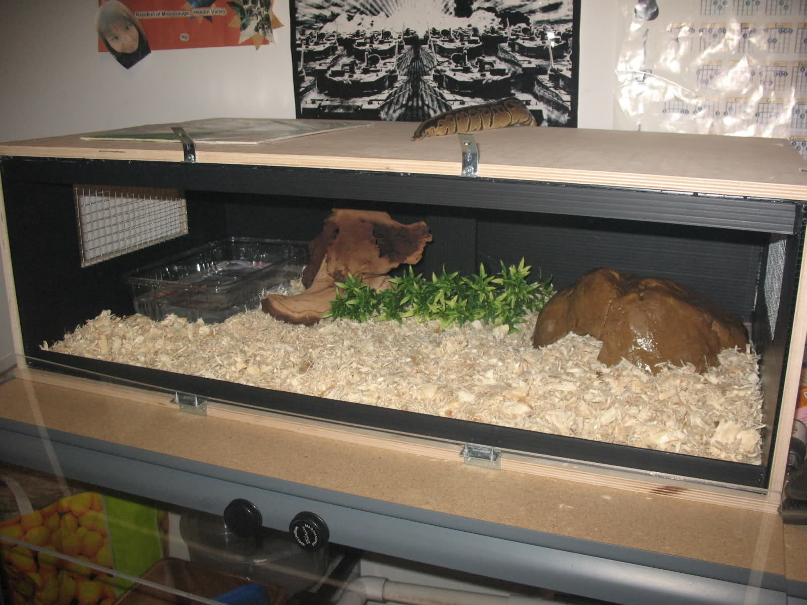 Best ideas about DIY Snake Cage
. Save or Pin DIY snake cage Now.