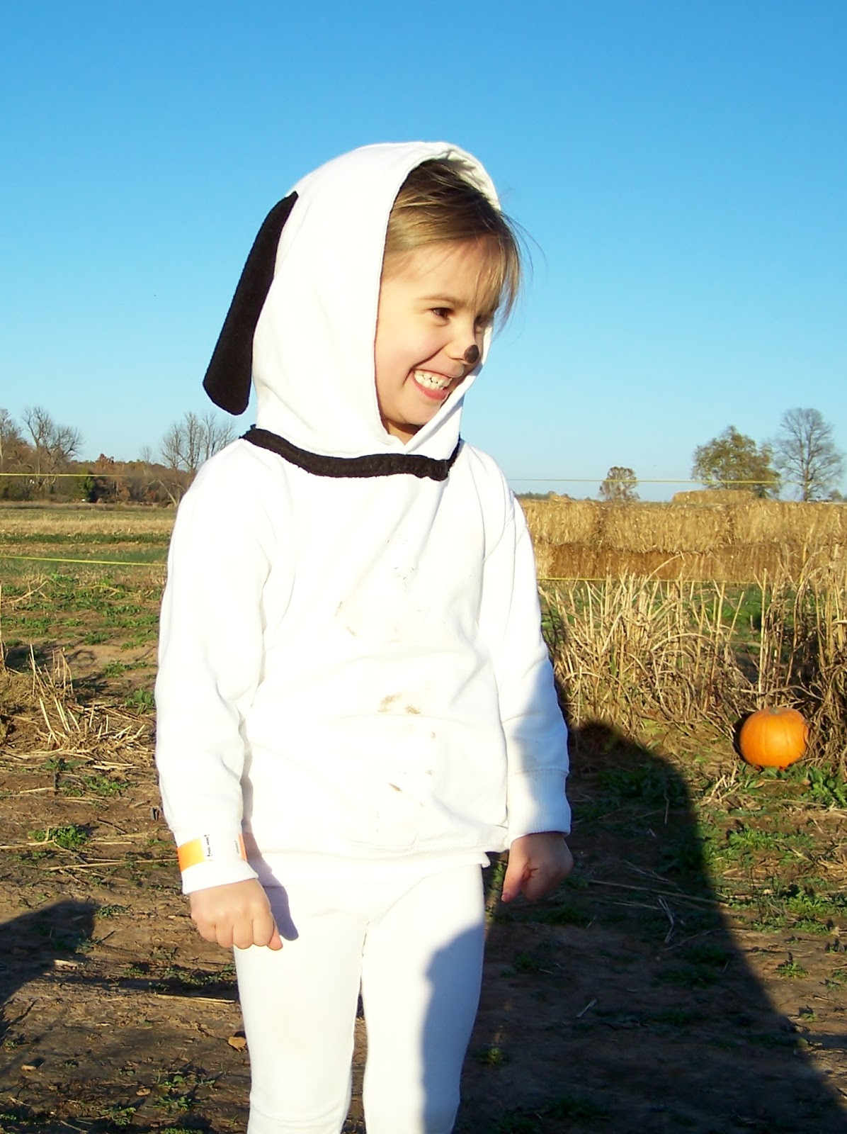 Best ideas about DIY Snoopy Costume
. Save or Pin repurpose relove Halloween Decorations & Peanuts Costumes Now.