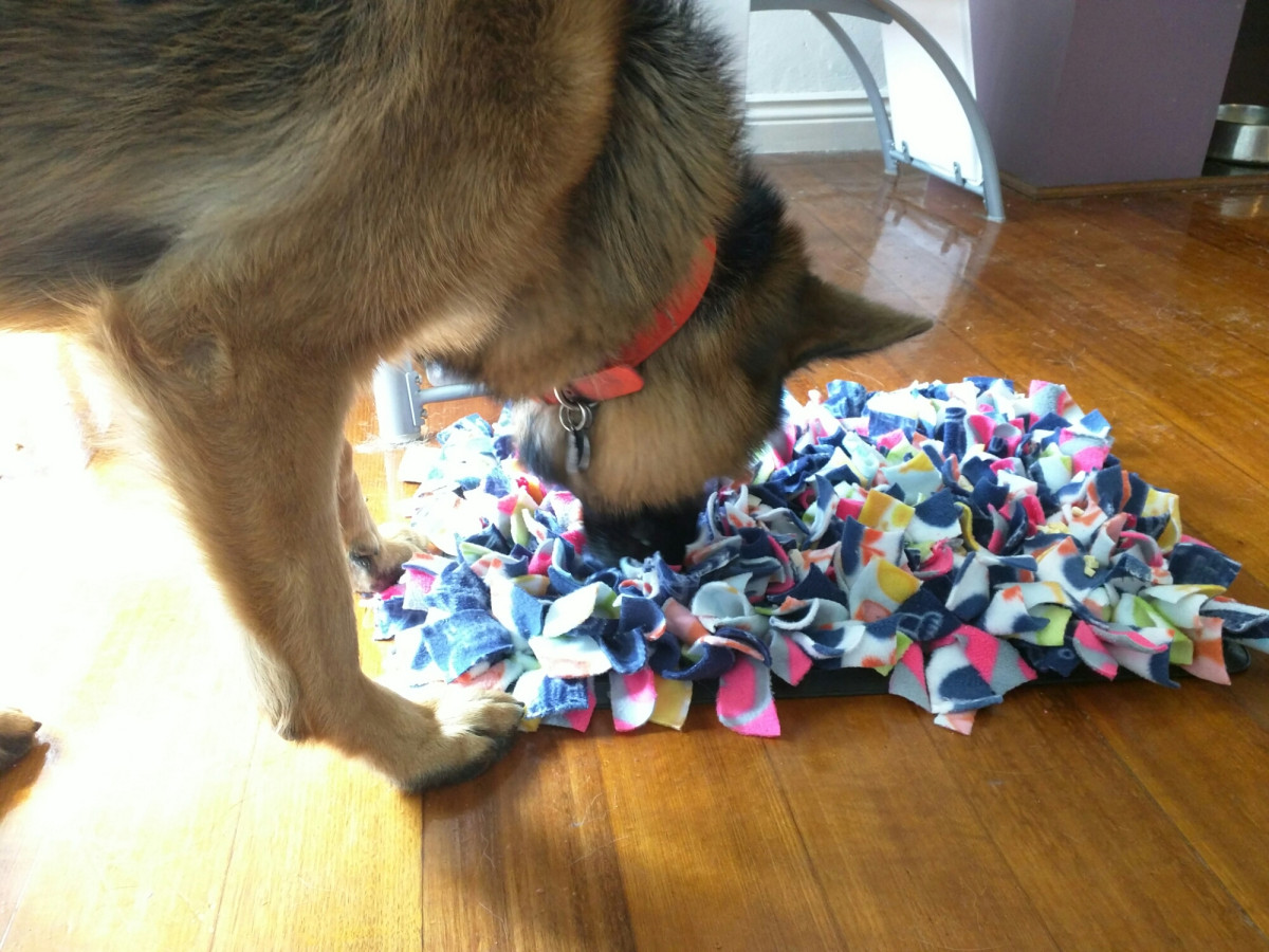 Best ideas about DIY Snuffle Mat
. Save or Pin DIY Snuffle Mat Now.