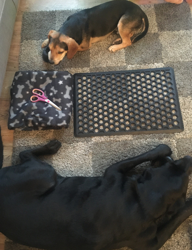 Best ideas about DIY Snuffle Mat
. Save or Pin DIY Doggy Snuffle Mat Now.