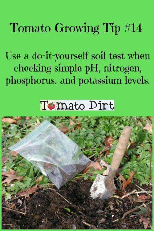 Best ideas about DIY Soil Test
. Save or Pin How to Take a Soil Test in Your Tomato Garden Now.