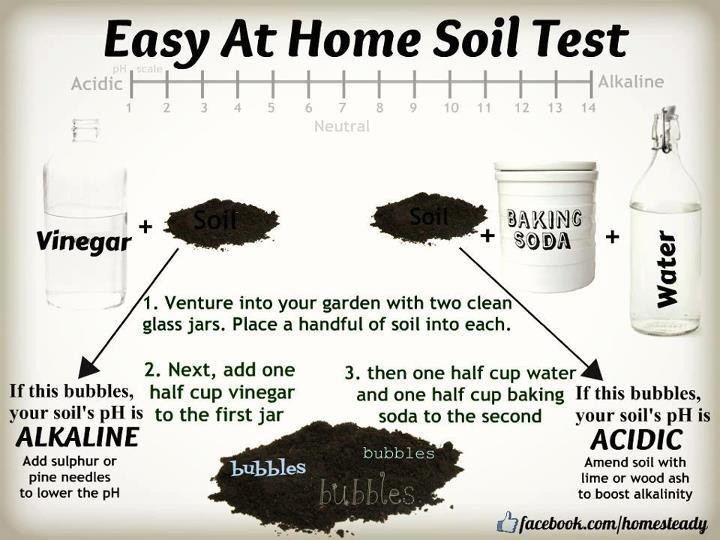 Best ideas about DIY Soil Test
. Save or Pin Easy soil pH test Gardening Now.