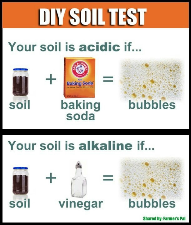 Best ideas about DIY Soil Test
. Save or Pin DIY soil test Gardening Now.