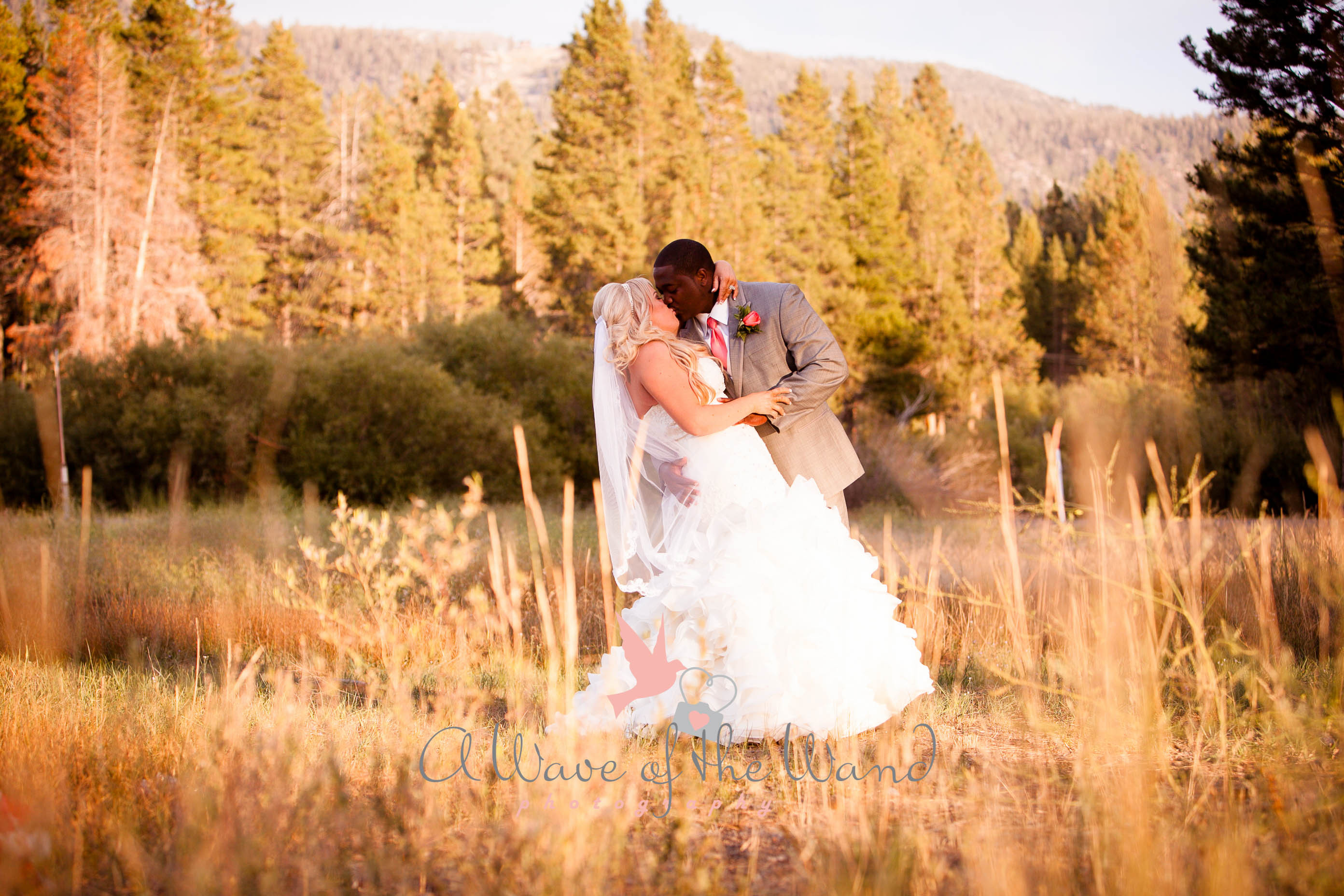 Best ideas about DIY South Lake Tahoe
. Save or Pin Beautiful September Lake Tahoe Wedding South Lake Tahoe Now.