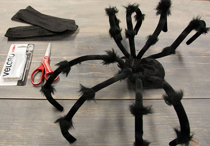 Best ideas about DIY Spider Costume For Adults
. Save or Pin How to Make Your Own Spider Dog Costume Halloween Now.