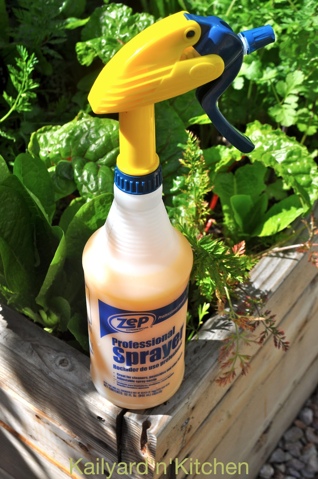 Best ideas about DIY Spider Killer
. Save or Pin HOMEMADE BUG SPRAY FOR THRIPS SPIDER MITES AND APHIDS Now.