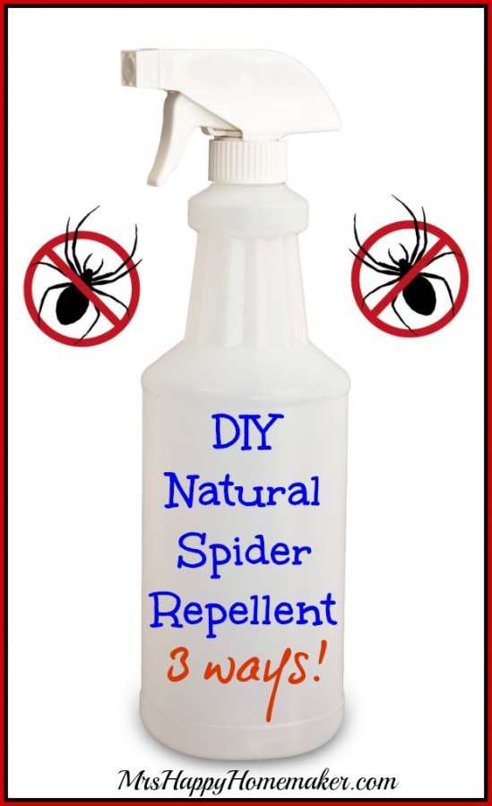 Best ideas about DIY Spider Killer
. Save or Pin DIY Natural Spider Repellent 3 Ways Mrs Happy Homemaker Now.