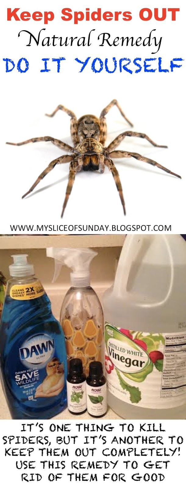 Best ideas about DIY Spider Killer
. Save or Pin Diy Spider Killer Natural Remedy to keep spiders out of Now.