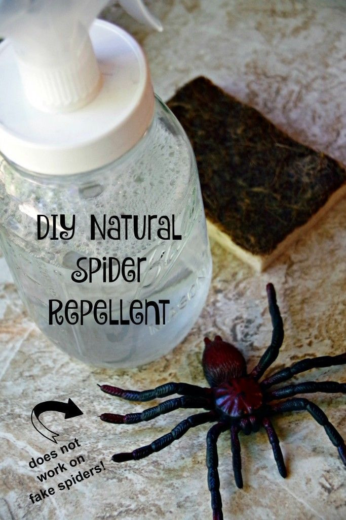 Best ideas about DIY Spider Repellent
. Save or Pin 9698 best All Things Green images on Pinterest Now.