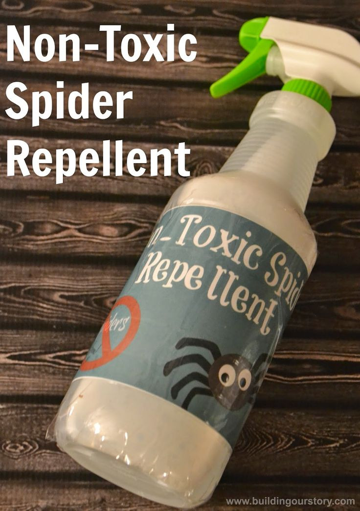 Best ideas about DIY Spider Repellent
. Save or Pin Top 25 best Homemade Spider Spray ideas on Pinterest Now.