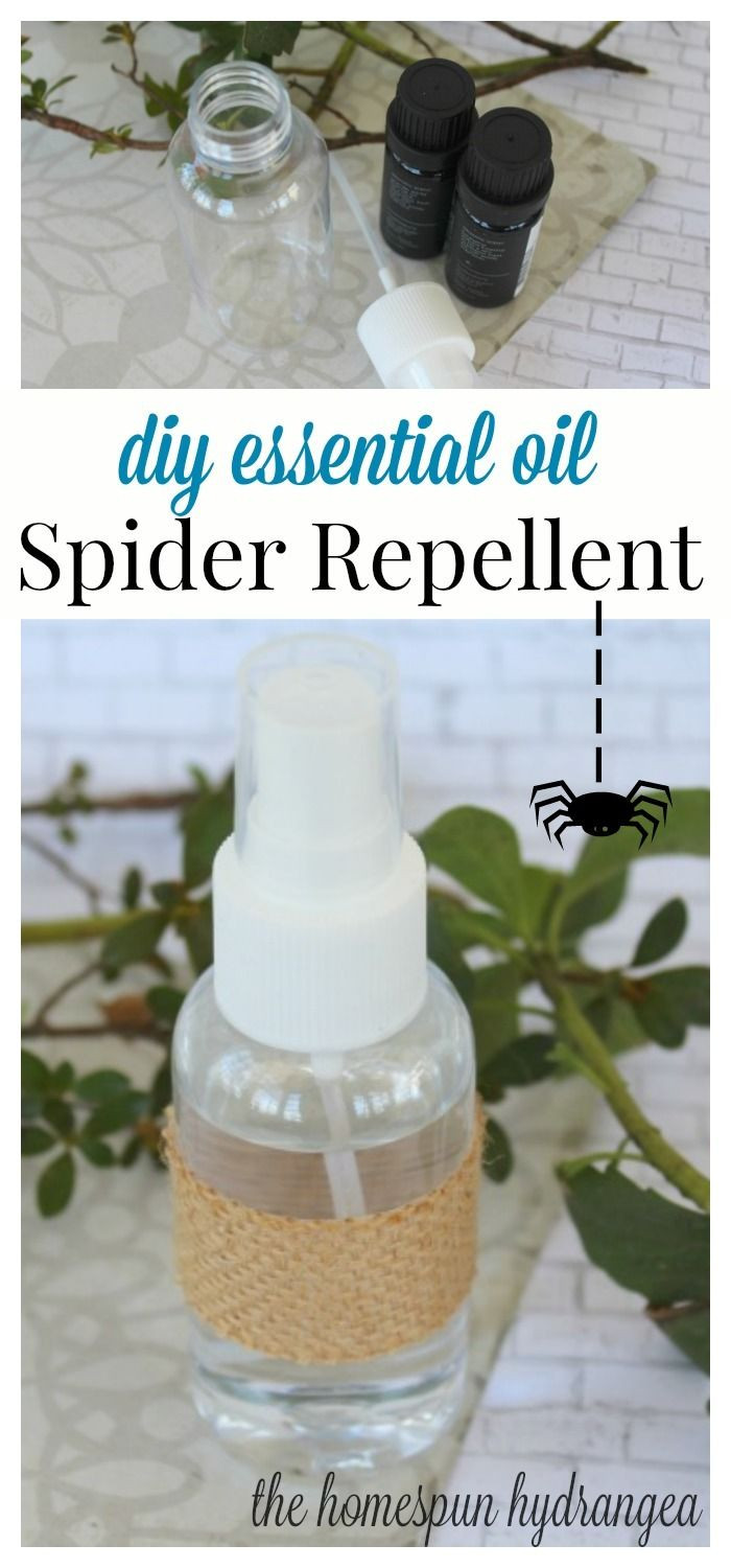 Best ideas about DIY Spider Repellent
. Save or Pin 25 unique Homemade spider spray ideas on Pinterest Now.