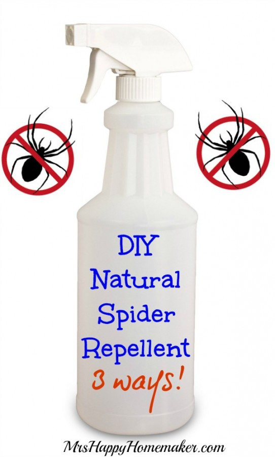 Best ideas about DIY Spider Repellent
. Save or Pin DIY Natural Spider Repellent 3 Ways Mrs Happy Homemaker Now.
